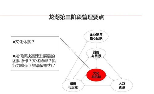 龍湖集團 精細(xì)化管理鑄就卓越運營與穩(wěn)健成長